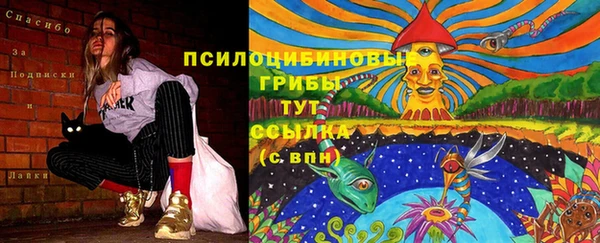 mix Каменка