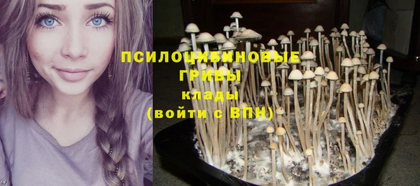 ПСИЛОЦИБИНОВЫЕ ГРИБЫ Каменск-Шахтинский