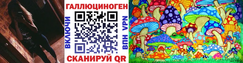 Купить где  Вяземский  Галлюциногенные грибы мицелий 