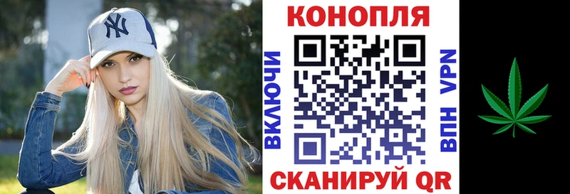 Купить где Вяземский Бошки Шишки OG Kush